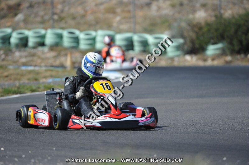 DSC (996).JPG